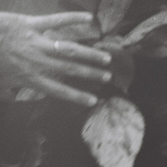 Troth - Idle Easel - Music & Performance - Vinyl