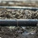 thumbnail image 2 of Paquete de 50 estacas de acero para carpas, 15 cm de largo, 3 mm de diámetro, anclajes de tierra plateados para jardines, 2 of 5