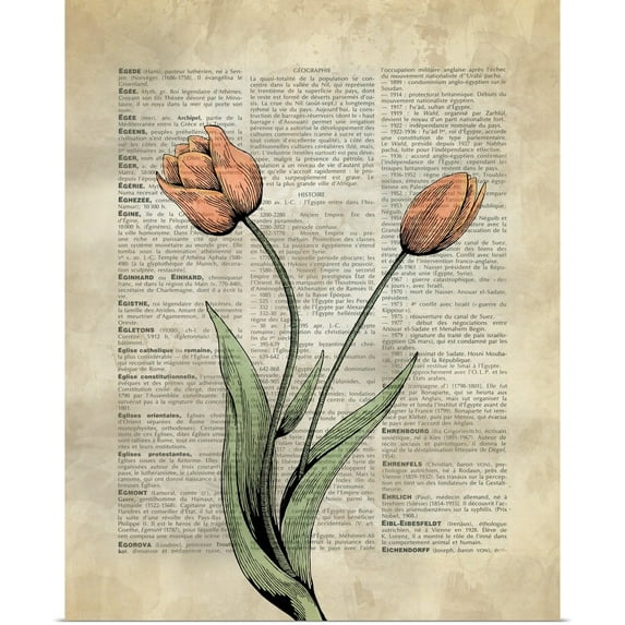 Great BIG Canvas | Rolled Circle Art Group Poster Print entitled Vintage Dictionary Art: Tulips