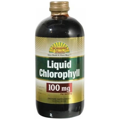 Dynamic Health Liquid Chlorophyll 100mg, 16 FL OZ