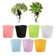thumbnail image 4 of THHEIC 10 Pack Colorful Flower Pots Square Plastic Plant Pots Succulent Planter Nursery Pots for Your Room,Garden Office and Balcony Decor, 4 of 9