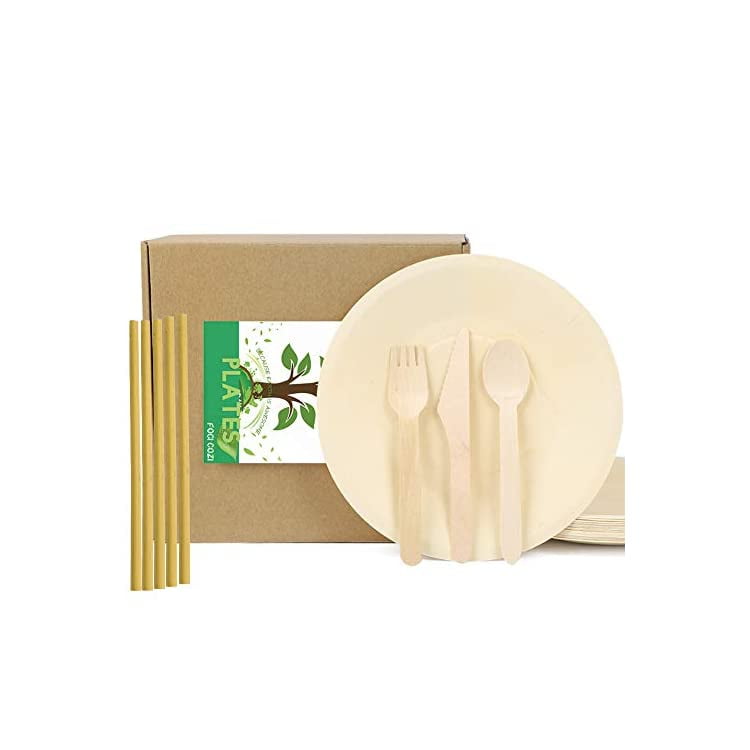 Bamboo Plates Set Big 100 Pcs 8.5'' Round Palm Leaf Plates Disposable