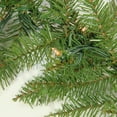 thumbnail image 2 of Northlight 48" Pre-Lit Northern Pine Artificial Christmas Wreath - Clear Lights, 2 of 2