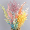 thumbnail image 2 of Toystoory Flores secas portátiles, plantas artificiales ligeras, flores naturales, ramo de hierba seca para sala de estar, boda, hogar Decoración del hogar Azul Toystoory HA073024-04, 2 of 6