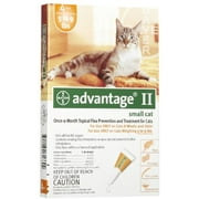 Flea Control for Cats