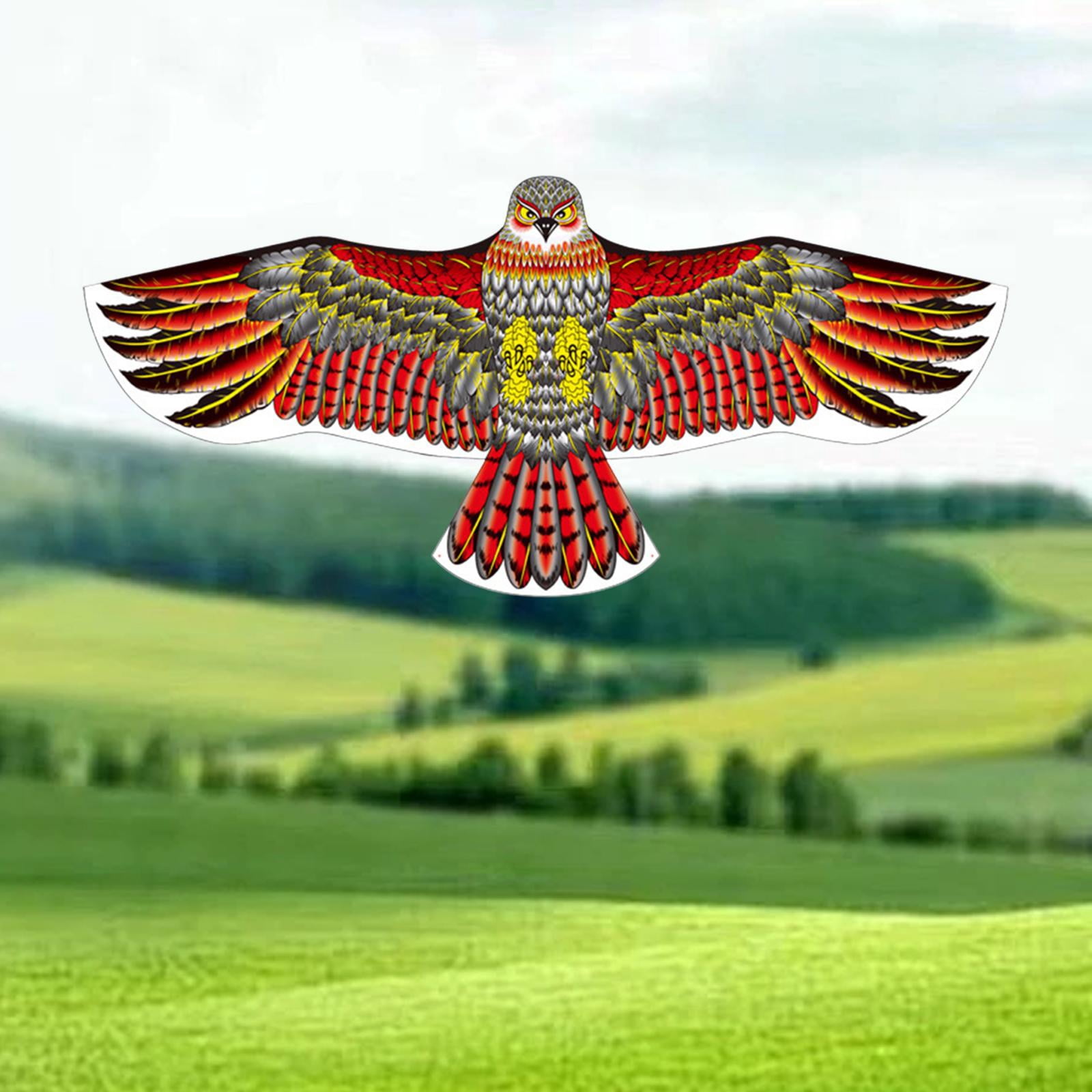 LeeQinersw 65" Eagle Flying Kite, Adults Kids Play Toy, Outdoor Activities Park Family Game Red