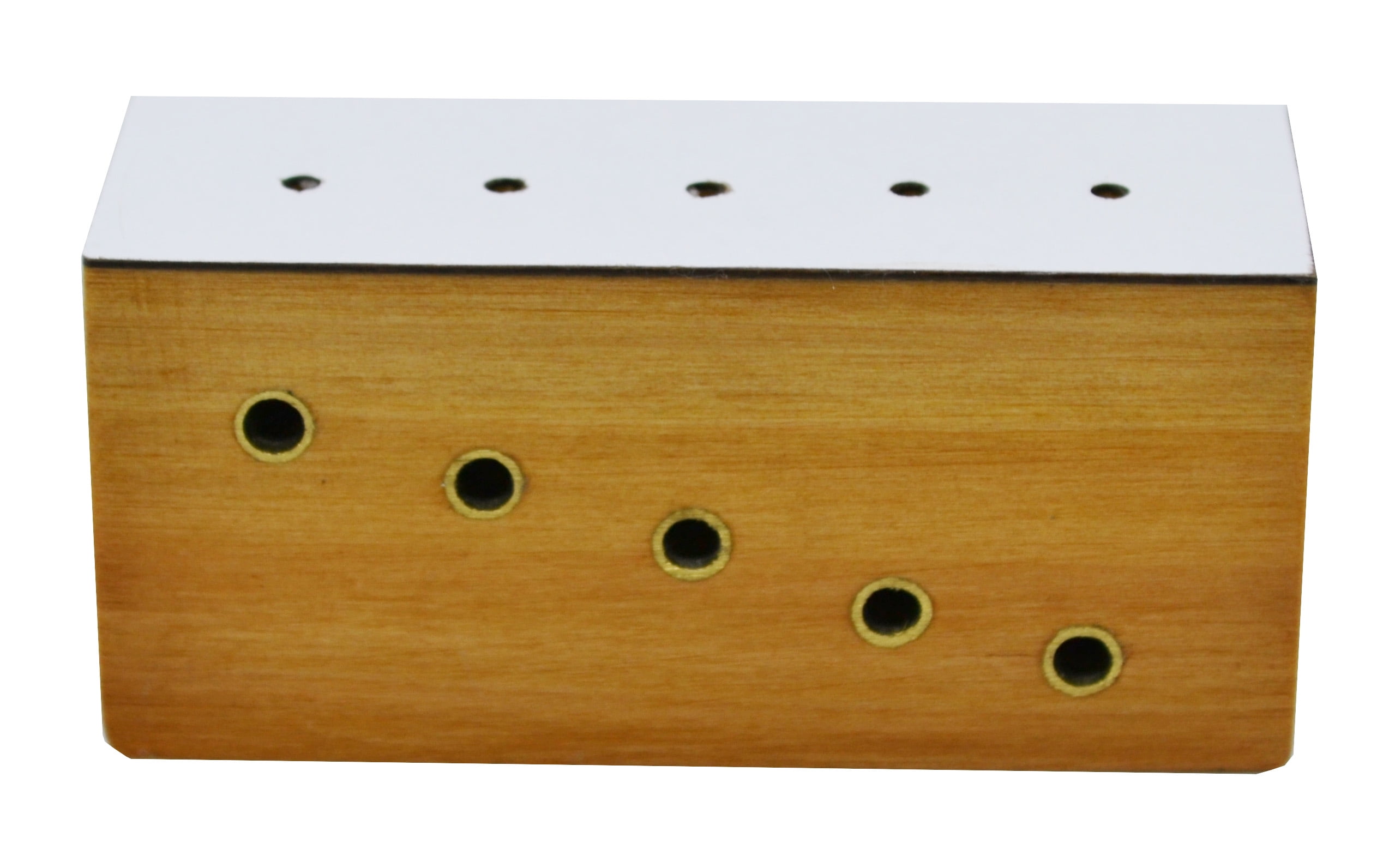 Hardwood Insect Pinning Block, Contains 5 Holes with Different Heights
