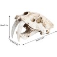 thumbnail image 3 of Skull Model Skull Specimens Simulation Animal Skull Model Resin Tiger Skull Model Interior Decoration Props Ornaments Tyrannosaurus Skull Dinosaur Specimens Resin Crafts Study Decoration, 3 of 6