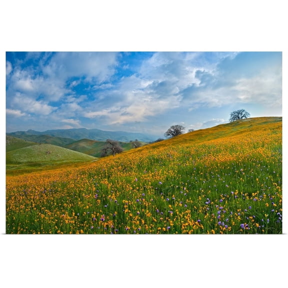 Great BIG Canvas | "Sprung I" Art Print - 24x16