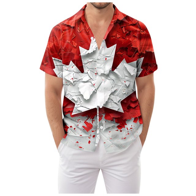 Ramiter Summer tops Mens Short Sleeve Classic Woven ShirtButton Down Shirt Red,3XL
