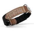 thumbnail image 2 of Dogline Leather + Nylon Spike Collar, 2 of 14