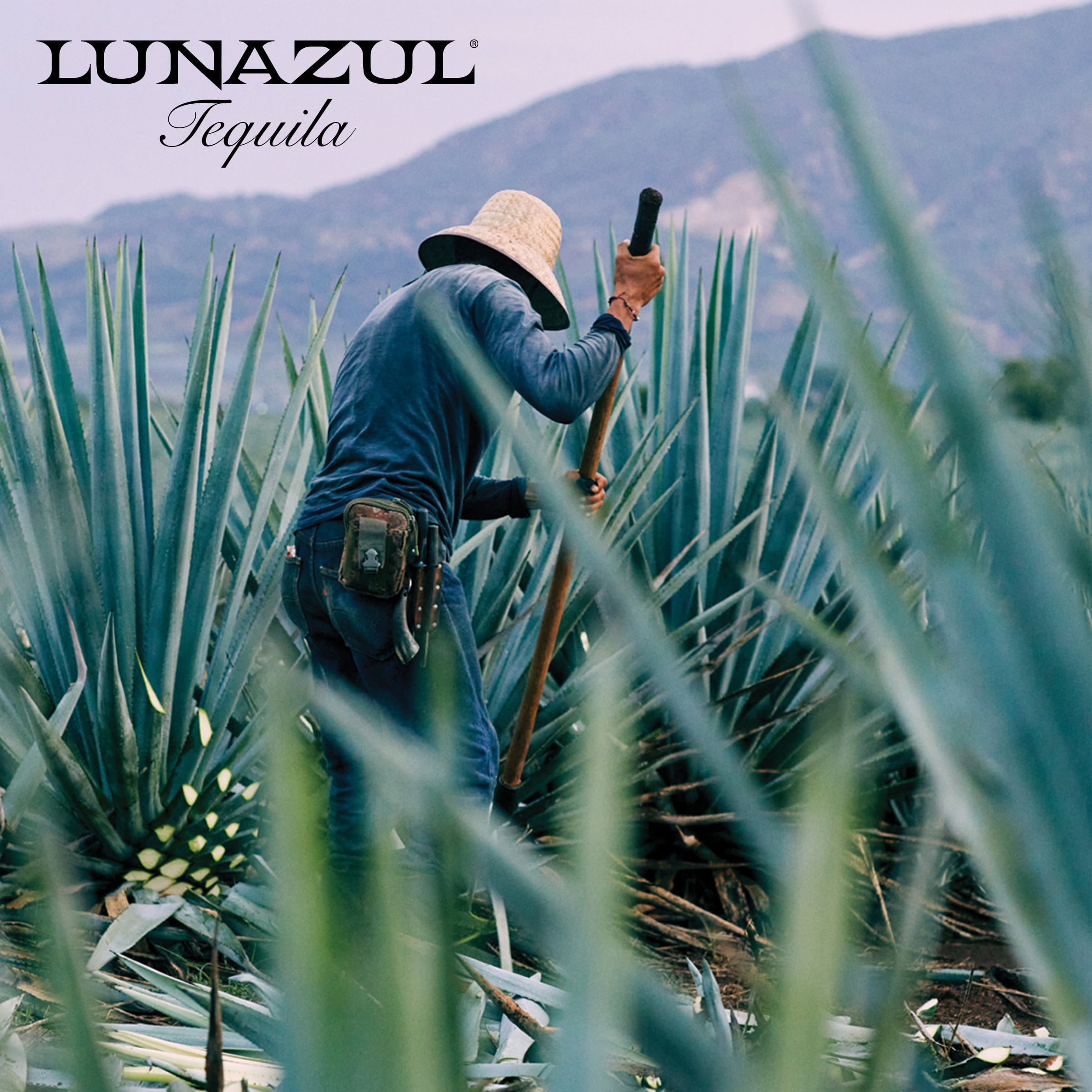 Lunazul Reposado Tequila, 750 ml Bottle, 40.0% ABV