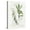Canvas, variant on Art.com Bay Leaf and Juniper Art Print by Elissa Della-piana, Brown Frame Wall Art, 17" x 21"