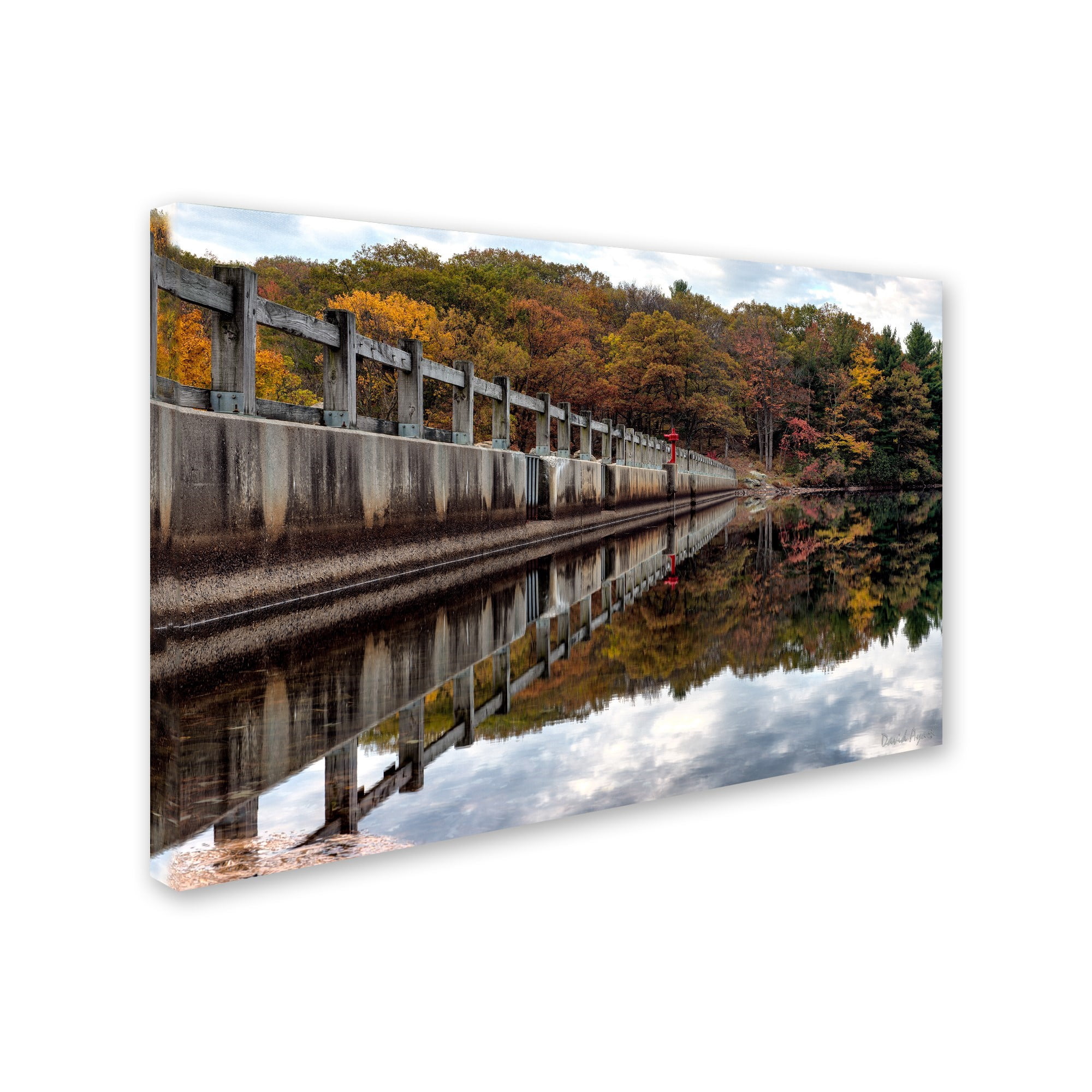 Trademark Fine Art "New York in Fall" Canvas Art by David Ayash