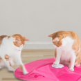 thumbnail image 2 of 30 Minute Shut Off 3 Speed Settings Cats Meow Motorized Wand Cat Toy Automatic, 2 of 5