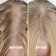 thumbnail image 4 of Just Nutritive Hydrating & Clarifying Shampoo for Oily Hair, Tea Tree Cleanser, Sulfate-Free, 16 oz, 4 of 9