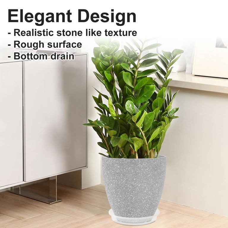 pic of peace lily Peace Lily Plant (Spathiphyllum Plant) at Best Price – Kyari.co main image 0