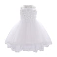 thumbnail image 6 of Gibobby Girls Dresses Sparkly Floral Party Puffy Short Sleeve Crew-Neck Dress With Glitter Embellishments Celebrations Comfortable Soft Breathable Cake Dress(6-12 Months,White), 6 of 9