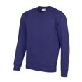 thumbnail image 1 of AWDis Academy - Sudadera con mangas Raglan y cuello redondo para hombre caballero (Púrpura), 1 of 1