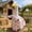 Multicolor D, variant on AuroraX Porch Goose Outfits 23" for Porch Goose Statue,Summer Spring Holiday 23" Porch Goose Clothes Sets Bundle 20 inches Yard 19" Porch Goose Accessories