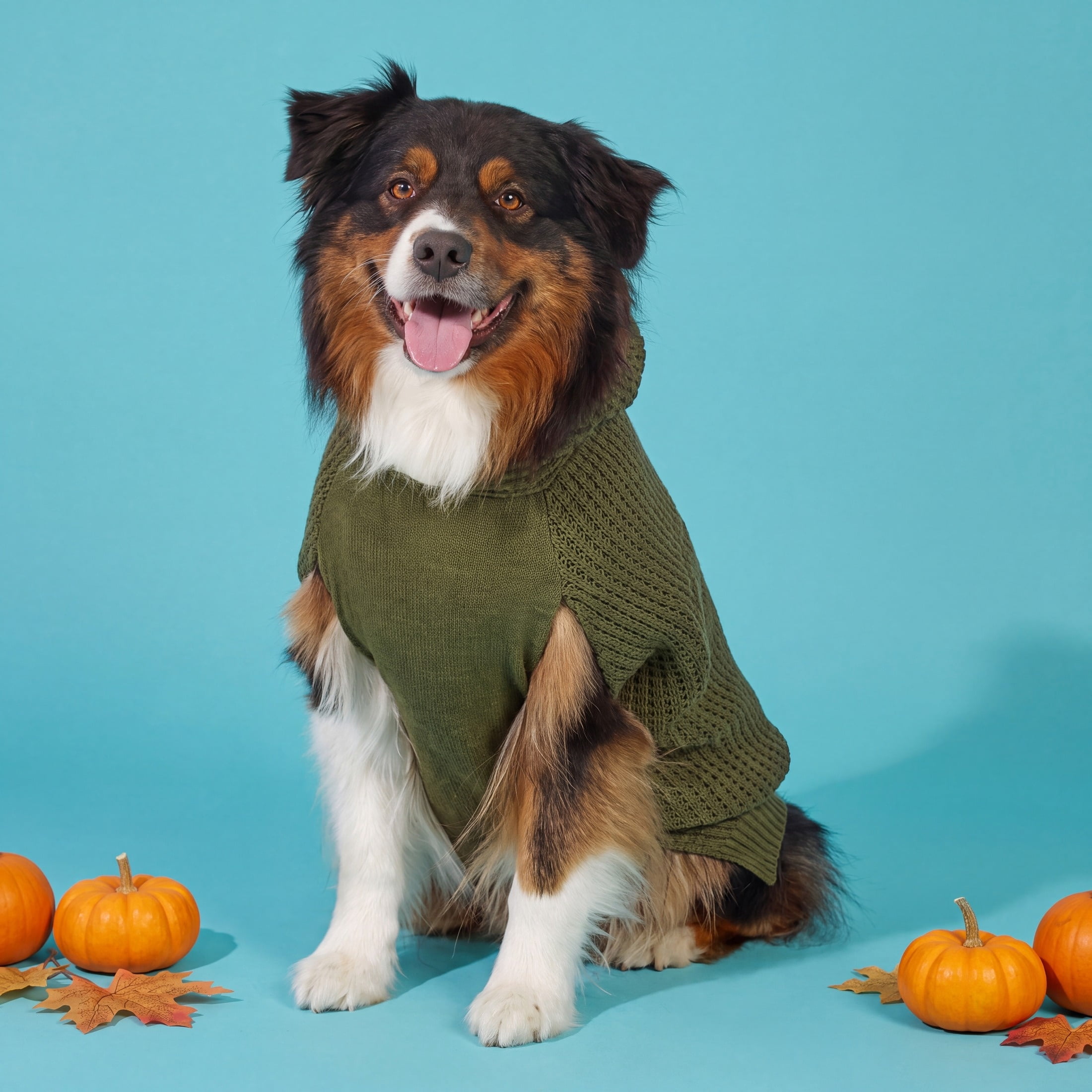 Vibrant Life Waffle Knit Dog Sweater, Green, XL, Among Other English Mastiff, Great Dane