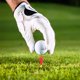 thumbnail image 4 of unbranded 10Ud Tees Para Golfs De Plástico Con Simple Y Uso Conveniente, 4 of 8