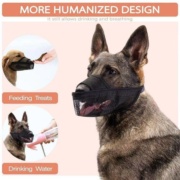 Dog mouthpiece clearance