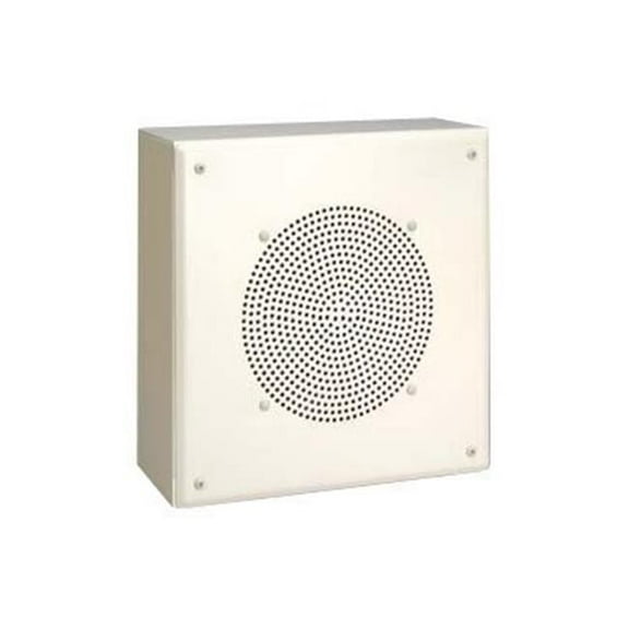 Ceiling-Wall Metal Box Speaker