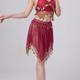 thumbnail image 6 of DYTTDG Mesh Sequin Coin Exotic Belly Dance Skirt with Asymmetric Tassels | Sparkling Performance Skirt for Stage, Dance & Party, 6 of 8