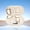 Standard Edition-Beige, variant on Wireless Translation Earbuds 144 Languages Real-Time Translator 3-in-1 Bluetooth Earbuds for iOS Android Travel Business Learning