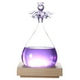 thumbnail image 2 of Weather Station, Decoration Innovative Weather Forecast Glass Bottle Desktop Weather Predictor, For Office For Home Pink,Purple,White, 2 of 8