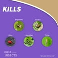 thumbnail image 6 of Bonide Captain Jack's 16 oz Deadbug Brew Ready-to-Use Insect and Mite Killer for Organic Gardening, 6 of 9