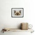 thumbnail image 2 of Cat Illustration Persian Kitten Art Print Framed Poster Wall Decor 9x7 inch, 2 of 5