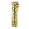 thumbnail image 1 of WoodLink WLTUBE35 Distributeur de Tube à 20 Ports, 1 of 3