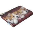 thumbnail image 6 of Personalised Blanket, Custom Blanket, Personalised Photo Blanket, Customised Photo Blanket Personalised for Adults Kids, Personalised Gifts for Mum, Dad, Boyfriend, Girlfriend (1 photo), 6 of 6