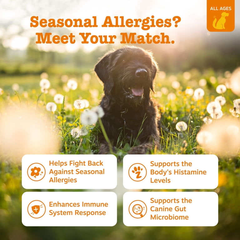 Zesty Paws Allergy & Immune Bites, Lamb Flavor, 60 Count photo 3