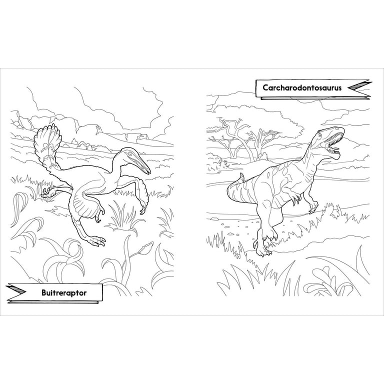 Paleofauna Coloring Book: Educational Book about Dinosaurs for Kids ages 6-8.  101 Unique Illustrations of Prehistoric Animals. Page Size 8.5 X 1  (Paperback)