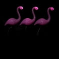 thumbnail image 1 of 3 In 1 LED Flamingo Solar Power Light, Beautiful Color, Easy to Install, Energy Saving, Durable, Perfect for Park, Garden, Pathway, Yard, Patio, Backyard, 1 of 8