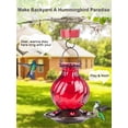 thumbnail image 3 of Comedero para colibríes Auslar Glass, 750 ml, rojo, paquete de 2 unidades para exteriores, 3 of 8