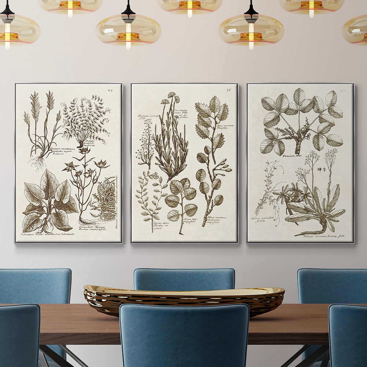 Sepia Botanical Journal VI - Framed Premium Gallery Wrapped Canvas L Frame 3 Piece Set - Ready to Hang