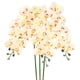 thumbnail image 1 of Uxcell 3-Pack Flores de Orquídea Artificial 9 Pétalos Grandes 37 Pulgadas Ramo de Seda Phalaenopsis Moteado Verde Amarillo Orquídeas Falsas para Hogar/Boda, 1 of 1