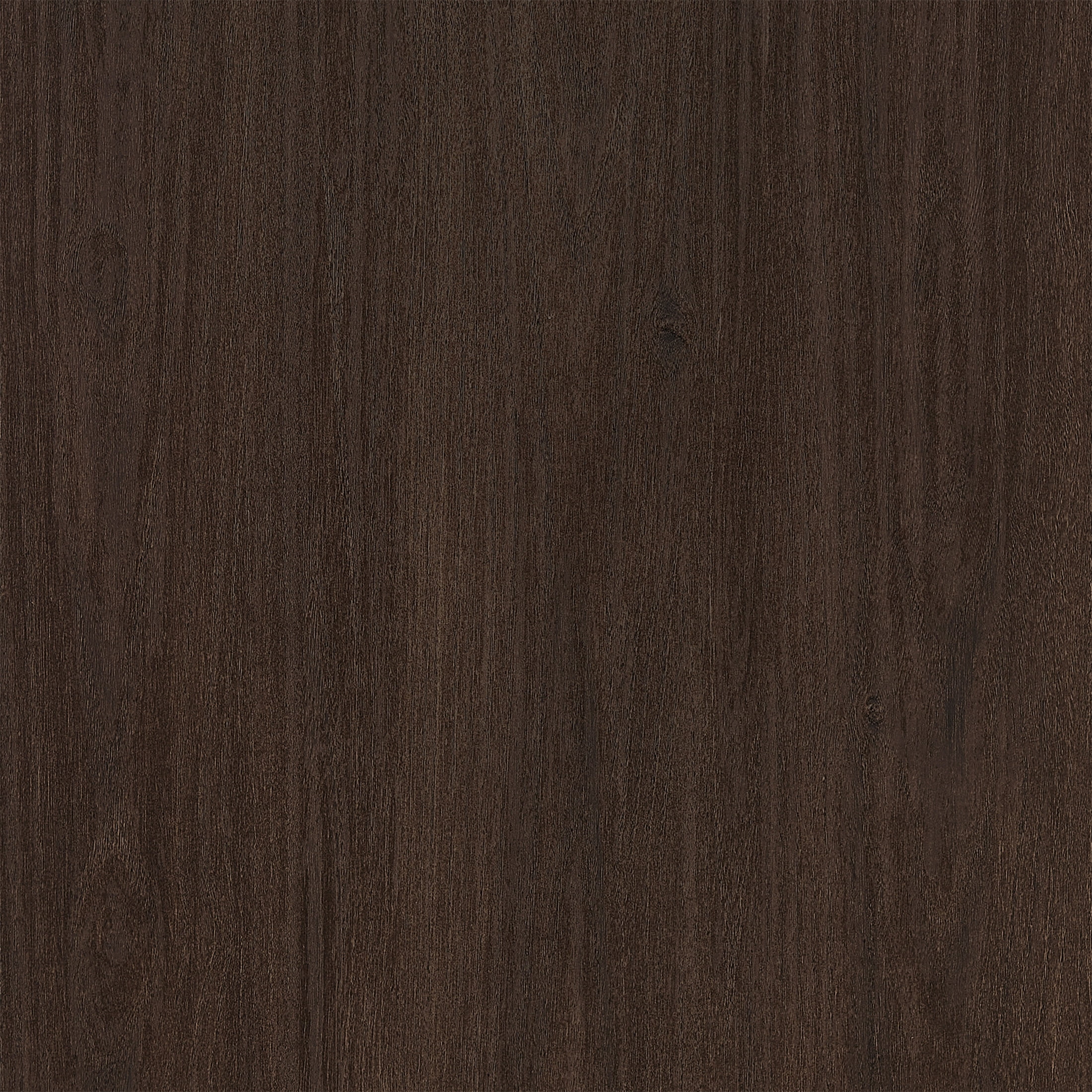 Evelyn&Zoe Modern/Contemporary 28" Wide Brown Oak Accent Cabinet