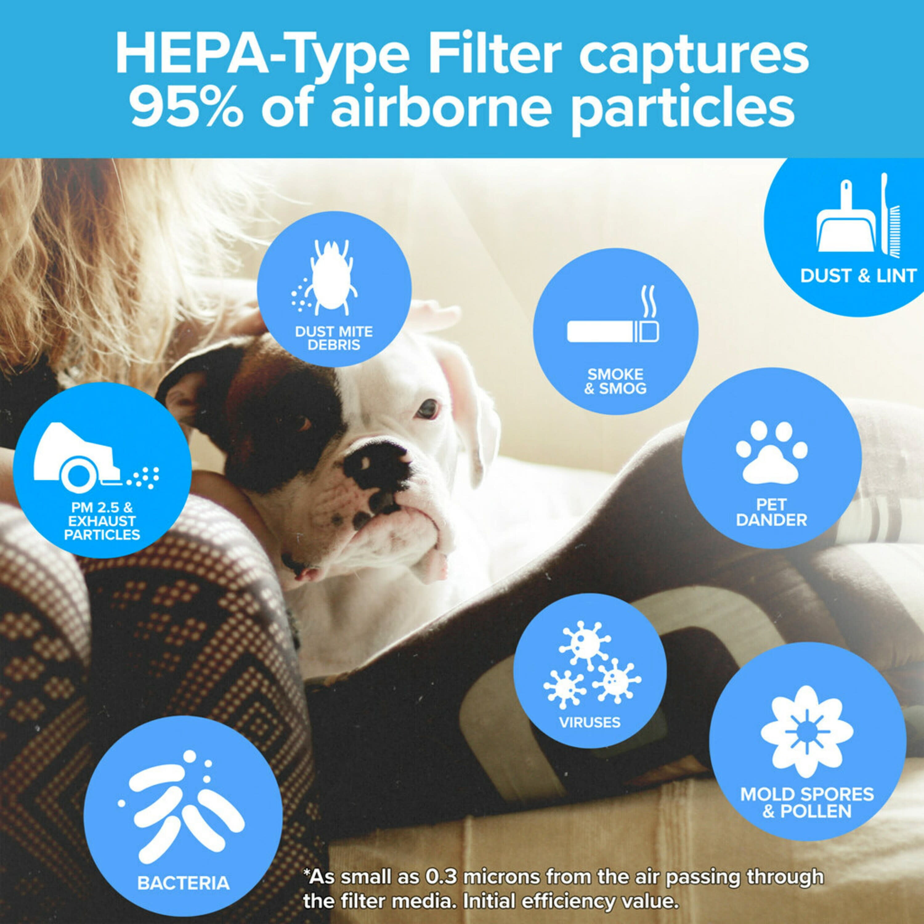 Filtrete F1 Room Air Purifier Filter, True HEPA Premium Allergen, Bacteria,  & Virus, 12 in. x 6.75 in., 2-Pack, Works with Devices: FAP-C01BA-G1