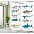 thumbnail image 5 of Ambesonne Fish Shower Curtain, Cartoon Shark Types Wild, 69"Wx70"L, Multicolor, 5 of 5