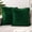 Emerald Green, variant on PAVILIA Emerald Green Throw Pillow Covers with Pom Pom 18x18 Set of 2, Decorative Pillow Cases for Bedroom Aesthetic, Small Throw Pillows Set for Bed, Velvet Euro Plush Cushion Covers for Sofa Couch