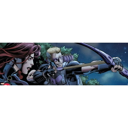 - Avengers Assemble Style Guide: Black Widow, Hawkeye Poster Wall Art