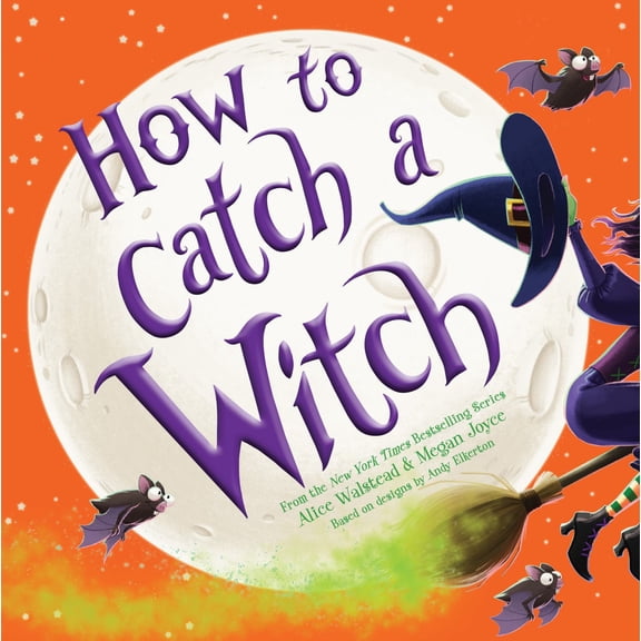 How to Catch a Witch (Hardcover)