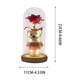 thumbnail image 3 of Specollect 2 Pcs Rose Flower Dome Night Light with LED, Romantic Home Decor Gift for Women, Preserved Real Rose and Teddy Bear, Warm White Lights for Bedroom Desk Decoration, 3 of 9