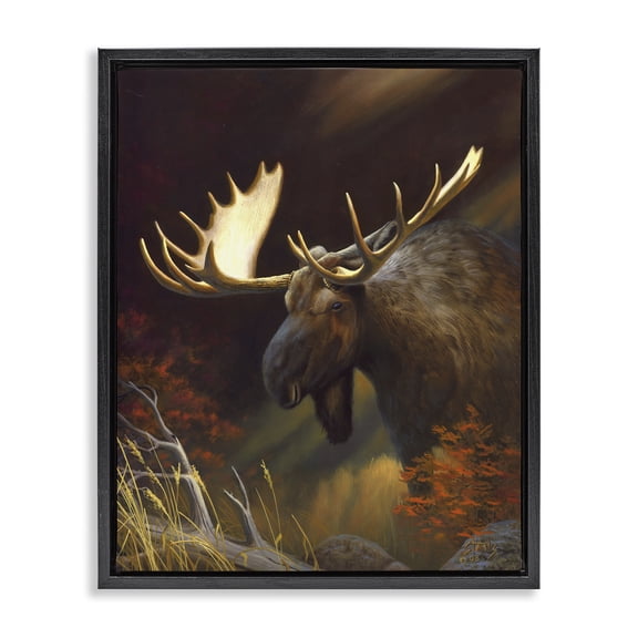 Stupell Industries Traditional Woodland Moose Portrait Black Floating Frame Canvas Art, 17 x 21, by Leo Stans