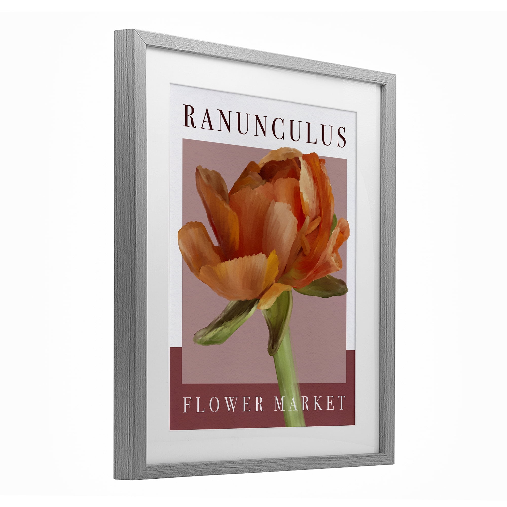 Stupell Industries Ranunculus Flower Market Gray Framed Print Under Glass, design by Jennifer Stith